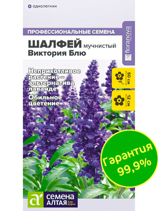 Шалфей Виктория Блю мучнистый [Семена алтая]