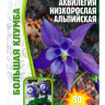 Аквилегия Альпийская Большая клумба [Семена редких растений]