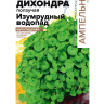 Дихондра Изумрудный Водопад [Семена алтая]