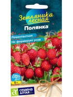 Земляника Полянка ремонтантная [Семена алтая]
