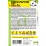 Остеоспермум Небо и Лед [Семена алтая] купить с доставкой