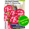 Пеларгония Дивас Пикоти Ред [Семена алтая]