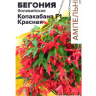 Бегония Копакабана Красная боливийская [Семена алтая] купить с доставкой