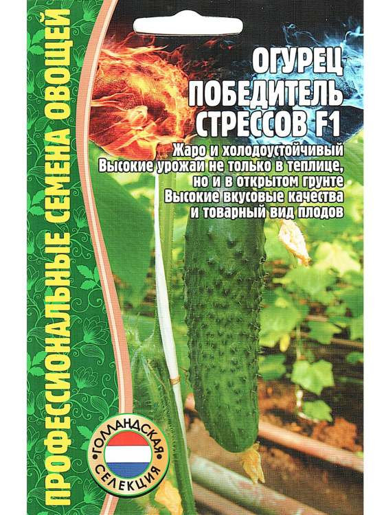 Огурец Победитель Стрессов F1 [Семена редких растений] купить с доставкой