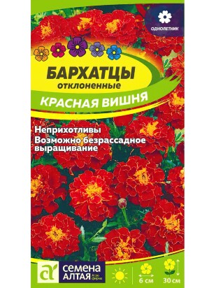 Бархатцы Красная Вишня [Семена алтая]