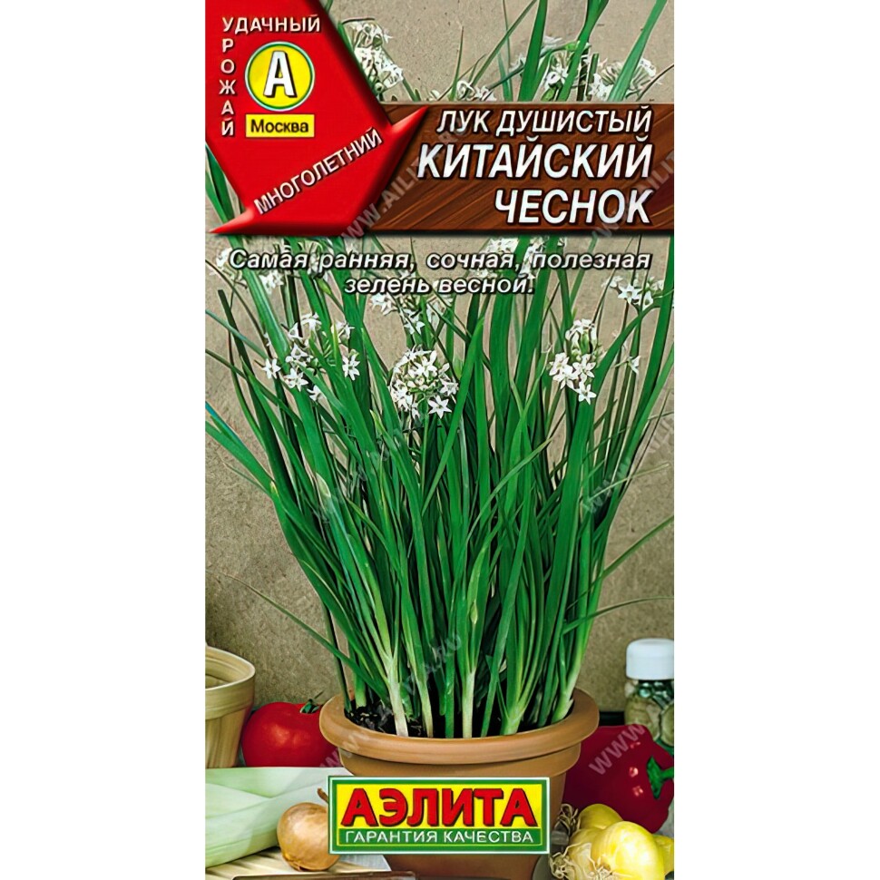 Лук душистый Китайский чеснок [Аэлита] купить с доставкой