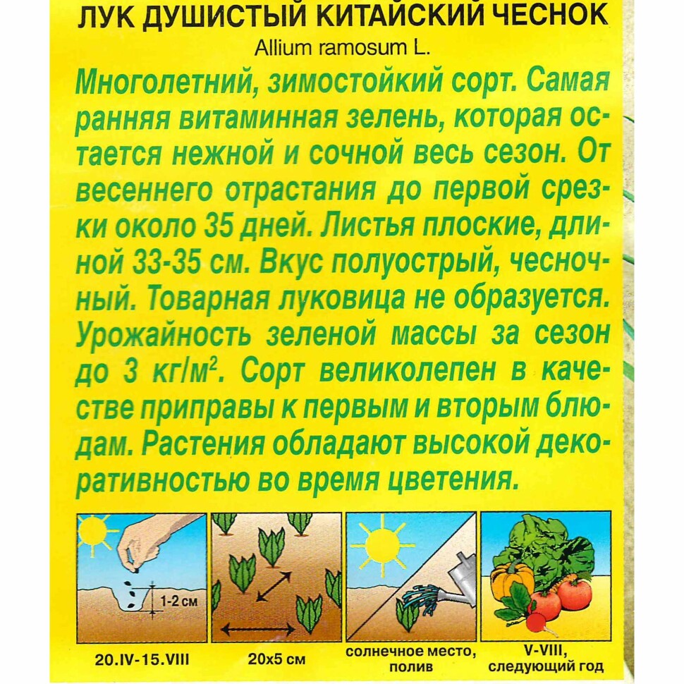 Лук душистый Китайский чеснок [Аэлита] купить с доставкой