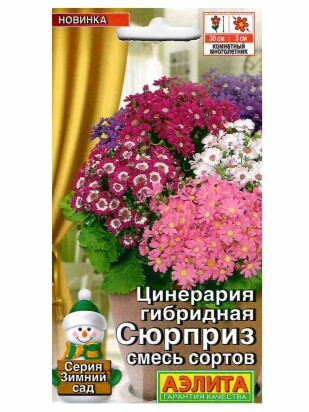 Цинерария Сюрприз гибридная смесь [Аэлита]