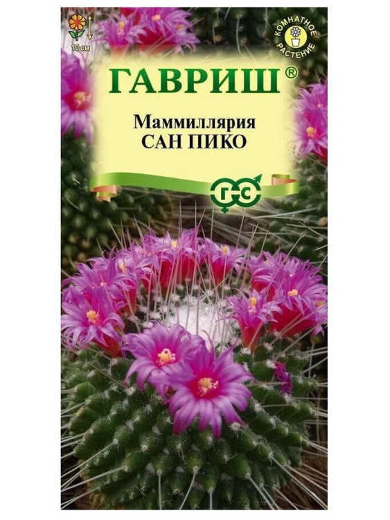 Маммиллярия Сан Пико Толука кактус [Гавриш] купить с доставкой