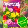 Мирабилис Ночная Красавица + подарок [Семена алтая] купить с доставкой