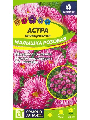 Астра Малышка Розовая [Семена алтая]