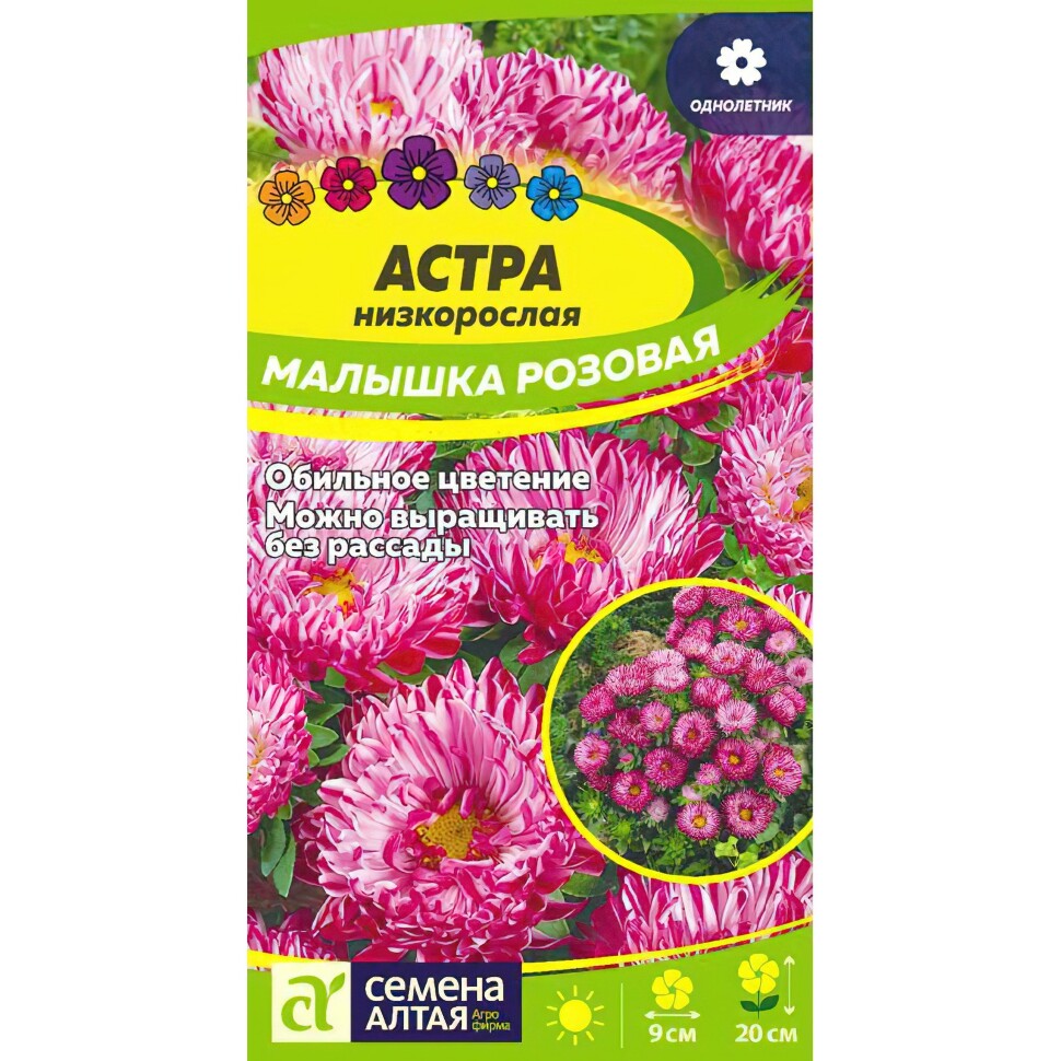 Астра Малышка Розовая [Семена алтая] купить с доставкой
