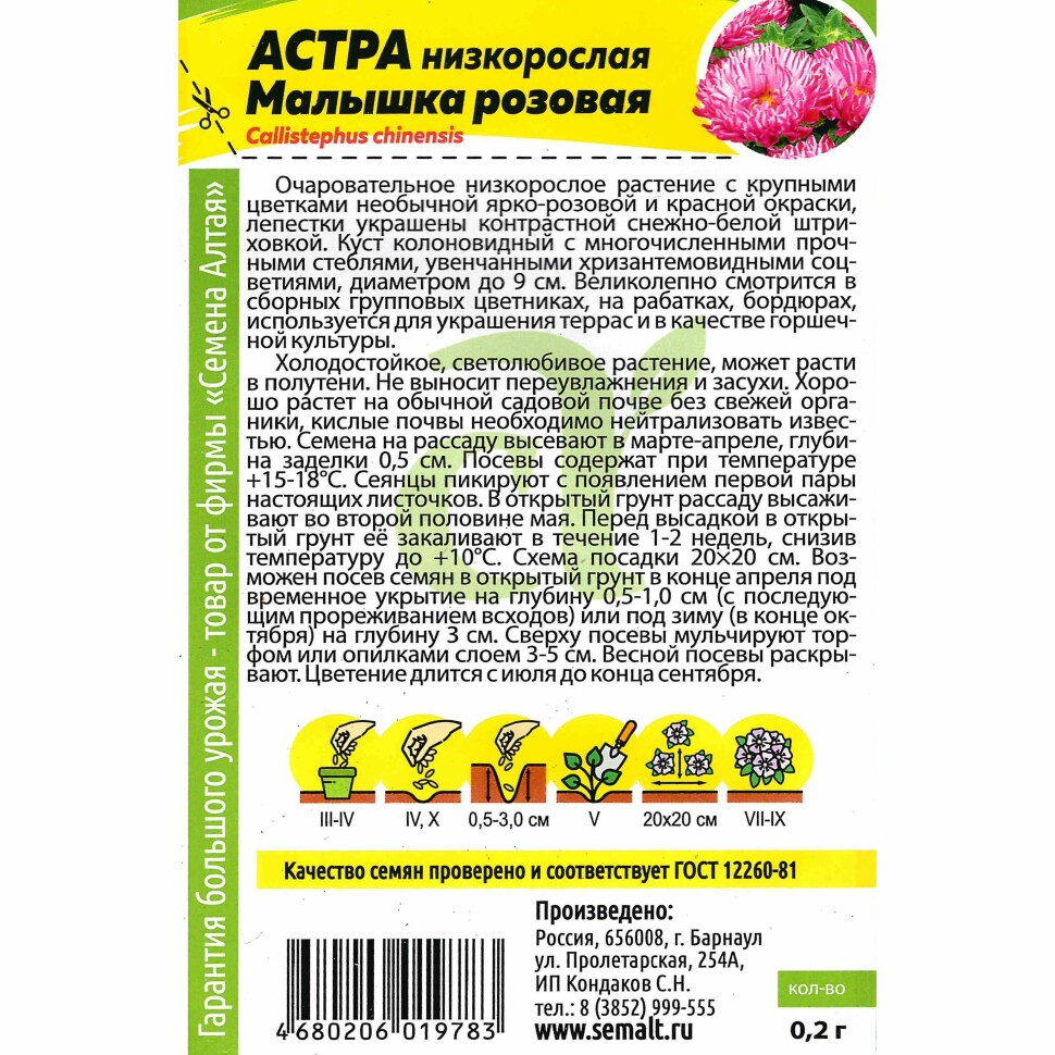 Астра Малышка Розовая [Семена алтая] купить с доставкой