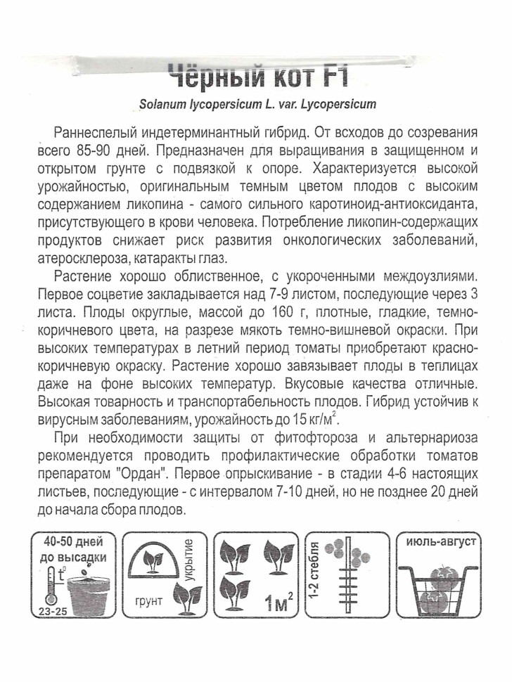 Томат Черный кот [Сибирский сад] купить с доставкой