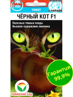 Томат Черный кот [Сибирский сад]