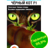 Томат Черный кот [Сибирский сад] купить с доставкой