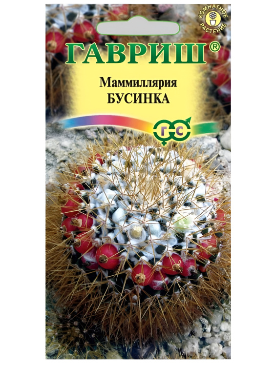 Маммиллярия  Бусинка  [Гавриш] купить с доставкой