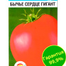 Томат Бычье сердце гигант [Сибирский сад]