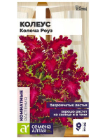 Цветы Колеус Колоча Роуз [Семена Алтая]
