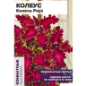 Цветы Колеус Колоча Роуз [Семена Алтая] купить с доставкой