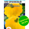 Патиссон НЛО оранжевый [Сибирский сад] купить с доставкой