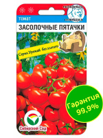 Томат Засолочные пятачки [Сибирский сад]