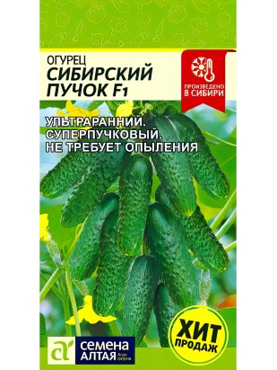 Огурец Сибирский Пучок [Семена алтая]