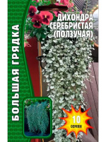 Дихондра серебристая Большая клумба [Семена редких растений]