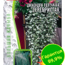 Дихондра серебристая Большая клумба [Семена редких растений]