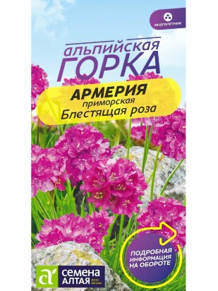 Армерия Блестящая роза приморская [Семена алтая]