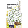 Тунбергия Сюзи Белый каскад крылатая [Семена алтая]