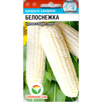 Кукуруза Белоснежка [Сибирский сад]
