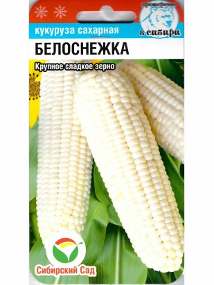 Кукуруза Белоснежка [Сибирский сад]