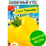 Томат Солнечный утес [Сибирский сад]