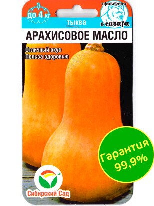 Тыква Арахисовое масло [Сибирский сад]
