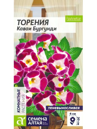 Торения Каваи Бургунди [Семена алтая]