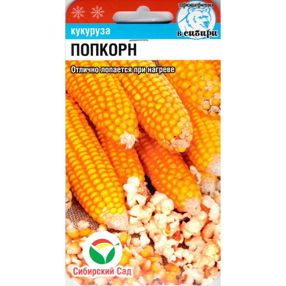 Кукуруза Попкорн [Сибирский сад] купить с доставкой