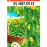 Огурец SV4097CV [Сибирский сад] купить с доставкой