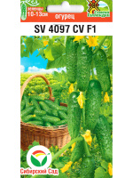 Огурец SV4097CV [Сибирский сад]