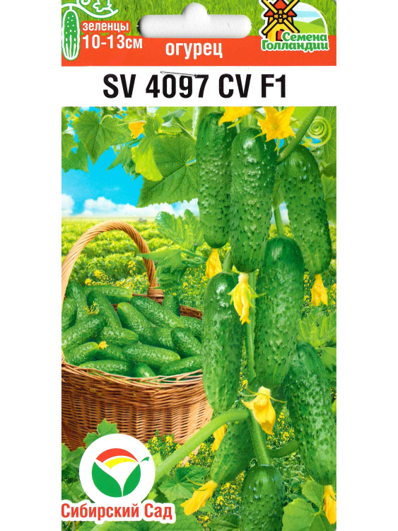 Огурец SV4097CV [Сибирский сад] купить с доставкой