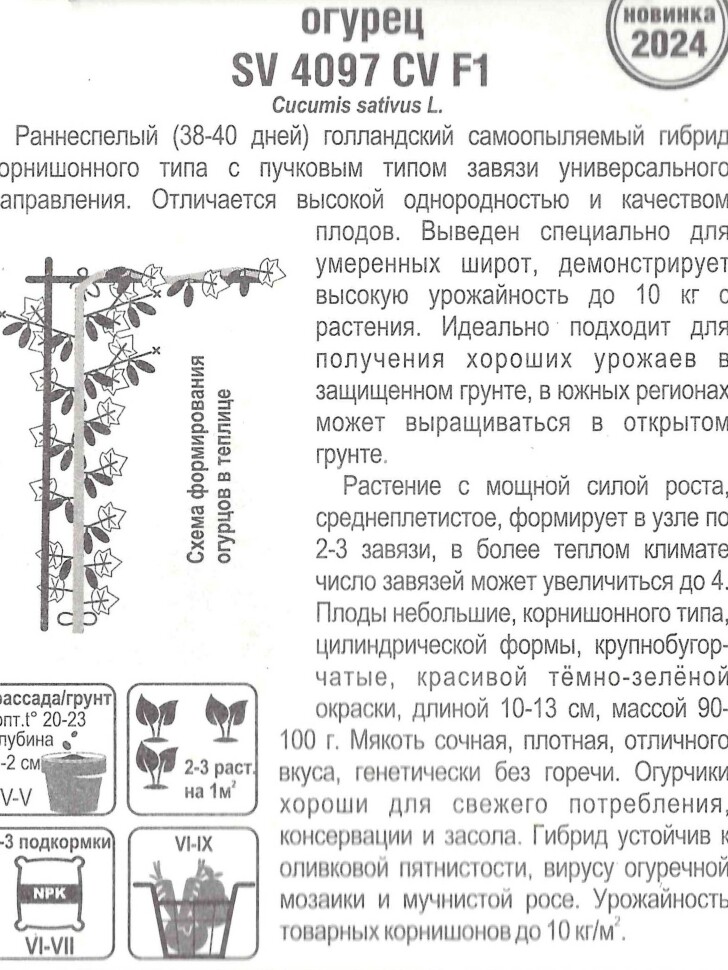 Огурец SV4097CV [Сибирский сад] купить с доставкой