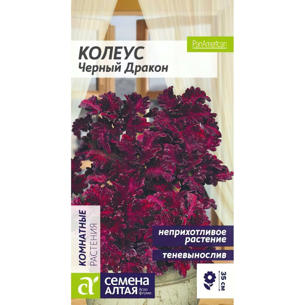 Колеус Черный Дракон [Семена алтая] купить с доставкой
