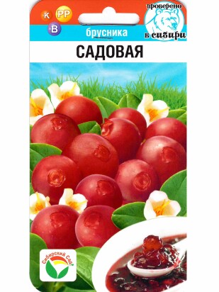 Брусника Садовая [Сибирский сад]