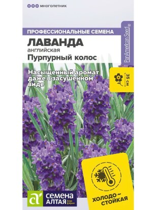 Лаванда Пурпурный колос английская [Семена алтая]