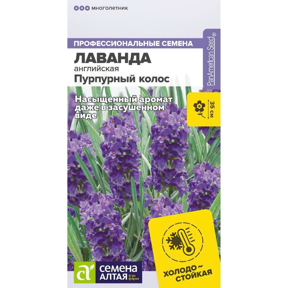 Лаванда Пурпурный колос английская [Семена алтая] купить с доставкой