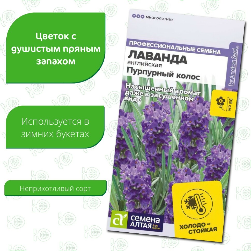 Лаванда Пурпурный колос английская [Семена алтая] купить с доставкой