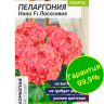Пеларгония Нано Лососевая [Семена алтая] купить с доставкой