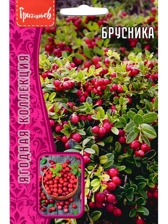 Брусника [Семена редких растений] купить с доставкой