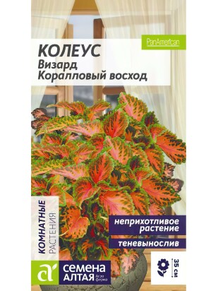 Колеус Визард Коралловый Восход [Семена алтая]