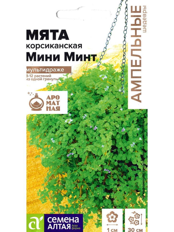 Мята Мини минт декоративная корсиканская [Семена алтая] купить с доставкой
